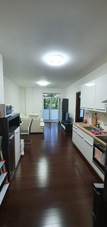 Spa Apartment Moser Karlsbad Buitenkant foto